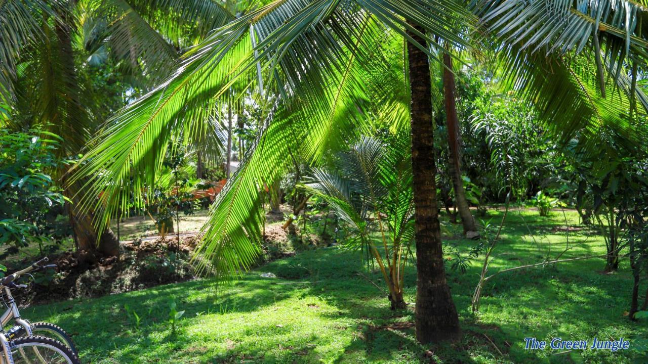 The Green Jungle Dambulla Esterno foto