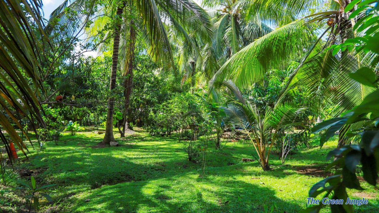 The Green Jungle Dambulla Esterno foto