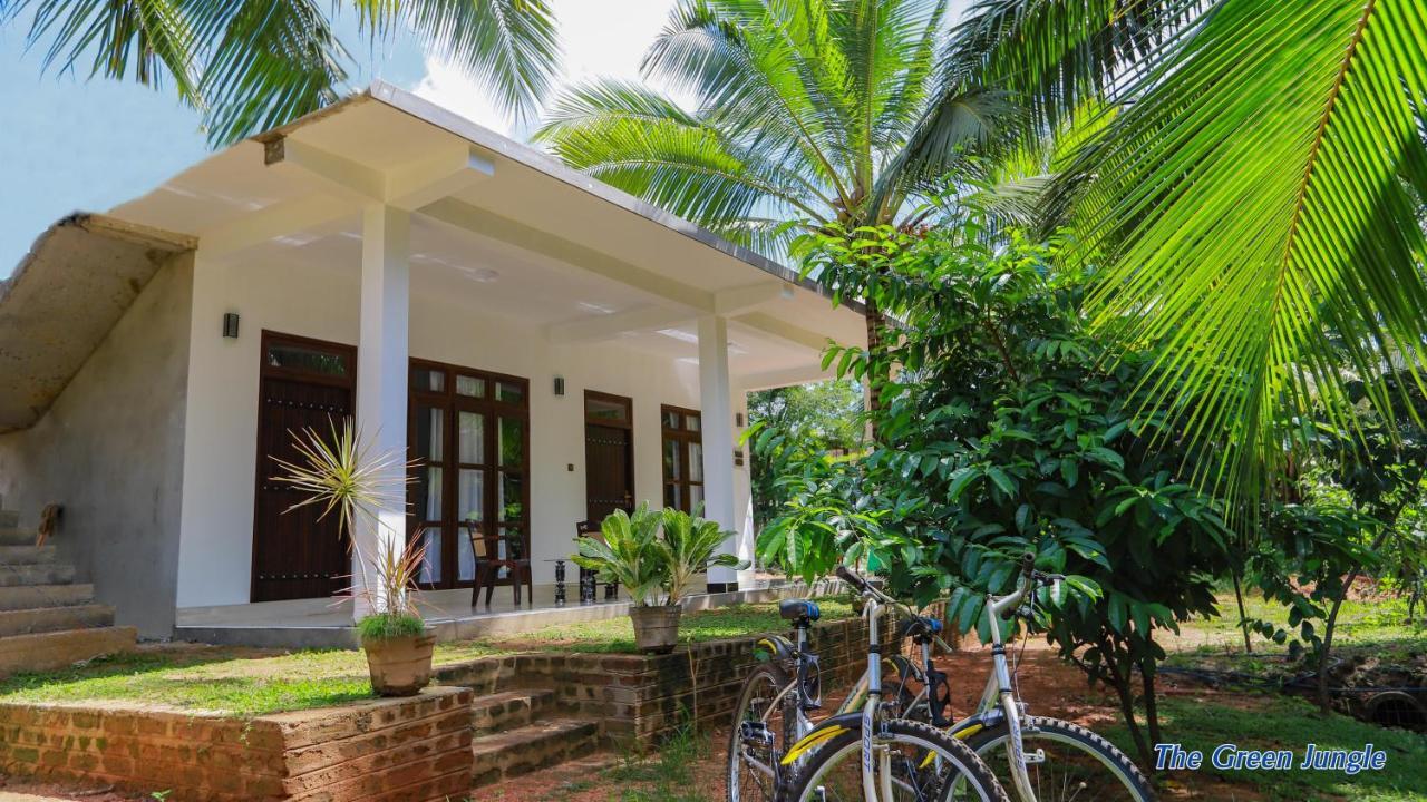 The Green Jungle Dambulla Esterno foto